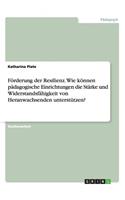 Förderung der Resilienz. Wie können pädagogische Einrichtungen die Stärke und Widerstandsfähigkeit von Heranwachsenden unterstützen?: (German)