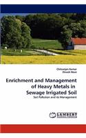 Enrichment and Management of Heavy Metals in Sewage Irrigated Soil