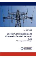 Energy Consumption and Economic Growth in South Asia