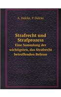 Strafrecht Und Strafprozess Eine Sammlung Der Wichtigsten, Das Strafrecht Betreffenden Befesse