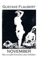 November. Das sexuelle Erwachen eines Schülers