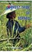 Forest Tribe Of Borneo — Resource Use Among The Dayak Benuaq
