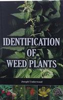 Identification of Weed Plants