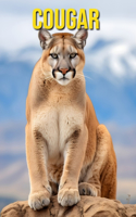 Cougar