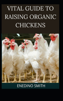Vital Guide To Raising Organic Chickens