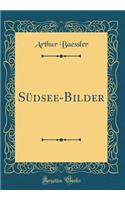Sï¿½dsee-Bilder (Classic Reprint)
