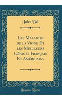 Les Maladies de la Vigne Et Les Meilleurs Cï¿½pages Franï¿½ais Et Amï¿½ricains (Classic Reprint)