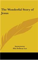 The Wonderful Story of Jesus