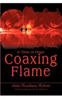 Coaxing Flame