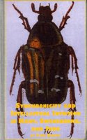 Synchronicity and Intellectual Intuition in Kant, Swedenborg and Jung: (v. 46 Problems in Contemporary Philosophy S.)