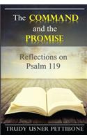 The Command and the Promise