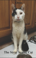 Oreo: The Stray Senior Cat