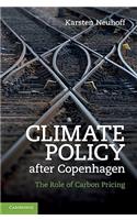 Climate Policy After Copenhagen
