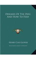 Diseases Of The Dog And How To Feed