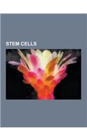 Stem Cells: Stem Cell Treatments, Induced Pluripotent Stem Cell, Stem Cell Marker, Cell Therapy, Induced Stem Cells, Hematopoietic