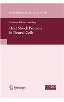 Heat Shock Proteins in Neural Cells