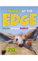 Animals At The Edge
