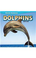 Dolphins
