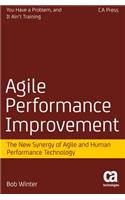 Agile Performance Improvement
