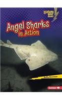 Angel Sharks in Action