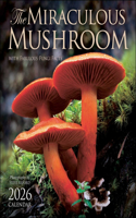 The Miraculous Mushroom 2026 Wall Calendar