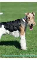 Wire Fox Terrier Affirmations Workbook Wire Fox Terrier Presents