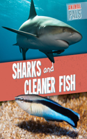 Sharks and Cleaner Fish: (Animal Pals)
