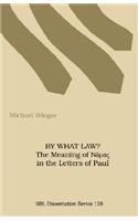 By What Law? the Meaning of Nuos in the Letters of Paul