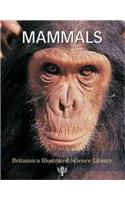 Mammals