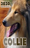 Collie 2020 Mini Wall Calendar