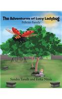 The Adventures of Lucy Ladybug