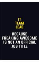 IT team lead Because Freaking Awesome Is Not An Official Job Title