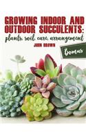 Growing Indoor and Outdoor Succulents: Plants, Soil, Care, Arrangement