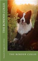 The border collie