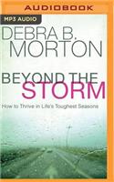 Beyond the Storm