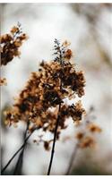 The Botanical Collection