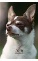 Chihuahua Planner 2019: Versatile Chihuahua Organizer and Notebook