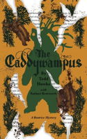 Caddywampus