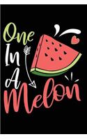 One in a Melon