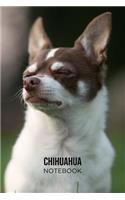 Chihuahua Notebook: Blank Lined Journal: Sweet Brown and White Chihuahua