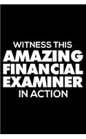 Witness This Amazing Financial Examiner in Action: 6x9 Notebook, Ruled, Funny Writing Notebook, Journal for Work, Daily Diary, Planner, Organizer for Financial Examiner