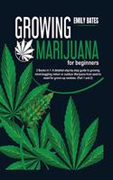 Growing Marijuana for beginners