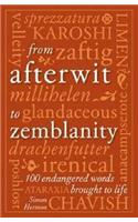 From Afterwit to Zemblanity
