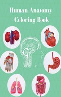 Human Anatomy Coloring Book