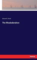 Rhododendron