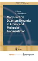 Many-Particle Quantum Dynamics in Atomic and Molecular Fragmentation