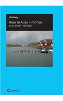 Auge in Auge mit Orcas