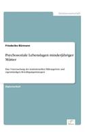 Psychosoziale Lebenslagen minderjähriger Mütter: Eine Untersuchung der institutionellen Hilfeangebote und eigenständigen Bewältigungsstrategien