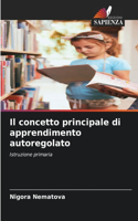 concetto principale di apprendimento autoregolato