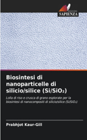 Biosintesi di nanoparticelle di silicio/silice (Si/SiO₂)